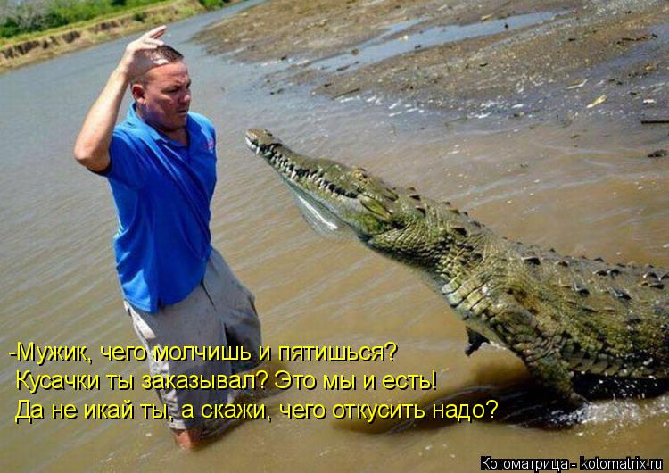 -Мужик, чего молчишь и пятишься? Кусачки ты заказывал? Это мы и есть! Да не икай ты, а скажи, чего от... Котоматрица: -Мужик, чего молчишь и пятишься? Кусачки ты заказывал? Это мы и есть! Да не икай ты, а скажи, чего откусить надо?