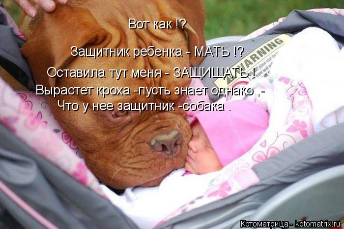 Вот как !? Защитник ребенка - МАТЬ !? Оставила тут меня - ЗАЩИЩАТЬ ! Вырастет кроха -пусть знает одна... Котоматрица: Вот как !? Защитник ребенка - МАТЬ !? Оставила тут меня - ЗАЩИЩАТЬ ! Вырастет кроха -пусть знает однако ,- Что у нее защитник -собака .