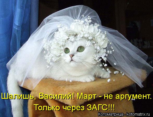 Шалишь, Василий! Март - не аргумент. Только через ЗАГС!!!... Котоматрица: Шалишь, Василий! Март - не аргумент. Только через ЗАГС!!!