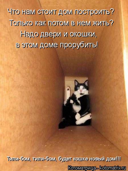 Что нам стоит дом построить? Только как потом в нем жить? Надо двери и окошки, в этом доме прорубить!... Котоматрица: Что нам стоит дом построить? Только как потом в нем жить? Надо двери и окошки, в этом доме прорубить! Тили-бом, тили-бом, будет кошке новый дом!