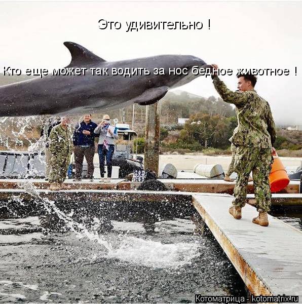 Это удивительно ! Кто еще может так водить за нос бедное животное !... Котоматрица: Это удивительно ! Кто еще может так водить за нос бедное животное !