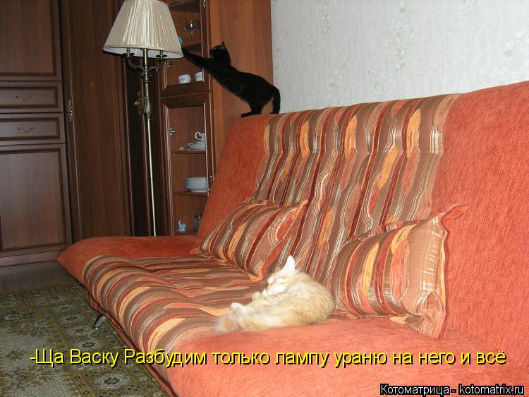 -Ща Васку Разбудим только лампу ураню на него и всё... Котоматрица: -Ща Васку Разбудим только лампу ураню на него и всё