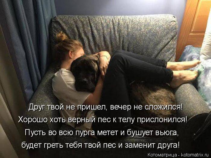 Друг твой не пришел, вечер не сложился! Хорошо хоть верный пес к телу прислонился! Пусть во всю пурга... Котоматрица: Друг твой не пришел, вечер не сложился! Хорошо хоть верный пес к телу прислонился! Пусть во всю пурга метет и бушует вьюга, будет греть тебя т