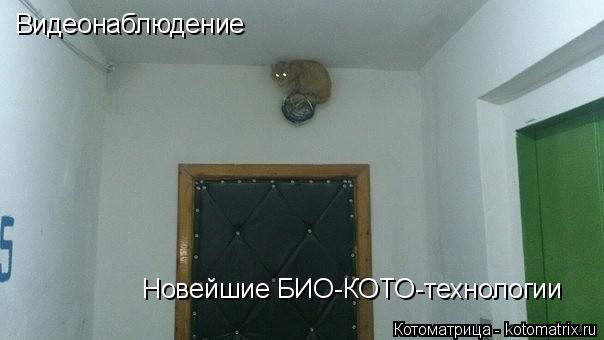 Видеонаблюдение Новейшие БИО-КОТО-технологии... Котоматрица: Видеонаблюдение Новейшие БИО-КОТО-технологии