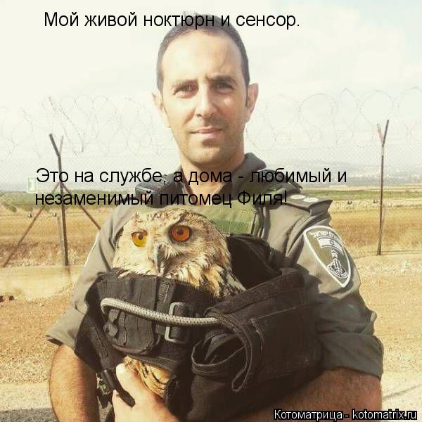 Мой живой ноктюрн и сенсор. Это на службе, а дома - любимый и незаменимый питомец Филя!... Котоматрица: Мой живой ноктюрн и сенсор. Это на службе, а дома - любимый и незаменимый питомец Филя!