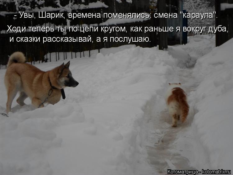 - Увы, Шарик, времена поменялись: смена "караула". Ходи теперь ты по цепи кругом, как раньше я вокруг... Котоматрица: - Увы, Шарик, времена поменялись: смена "караула". Ходи теперь ты по цепи кругом, как раньше я вокруг дуба, и сказки рассказывай, а я послушаю.