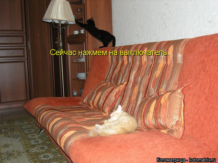 Сейчас нажмем на выключатель.... Котоматрица: Сейчас нажмем на выключатель.