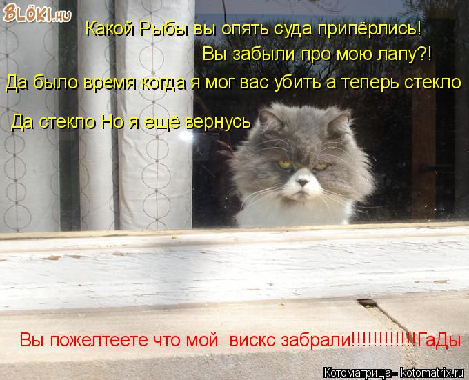 Какой Рыбы вы опять суда припёрлись! Вы забыли про мою лапу?! Да было время когда я мог вас убить а т... Котоматрица: Какой Рыбы вы опять суда припёрлись! Вы забыли про мою лапу?! Да было время когда я мог вас убить а теперь стекло Да стекло Но я ещё вернусь В