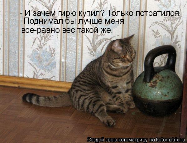 - И зачем гирю купил? Только потратился. Поднимал бы лучше меня, все-равно вес такой же.... Котоматрица: - И зачем гирю купил? Только потратился. Поднимал бы лучше меня, все-равно вес такой же.