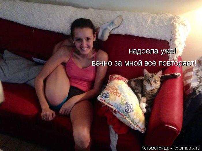 надоела уже! вечно за мной всё повторяет!... Котоматрица: надоела уже! вечно за мной всё повторяет!