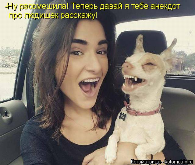 -Ну рассмешила! Теперь давай я тебе анекдот про людишек расскажу!... Котоматрица: -Ну рассмешила! Теперь давай я тебе анекдот про людишек расскажу!