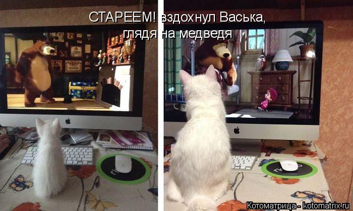 СТАРЕЕМ! вздохнул Васька, глядя на медведя... Котоматрица: СТАРЕЕМ! вздохнул Васька, глядя на медведя
