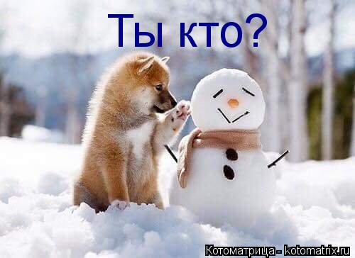 Ты кто?... Котоматрица: Ты кто?