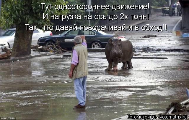 Тут одностороннее движение! И нагрузка на ось до 2х тонн! Так -что давай поворачивай и в обход!!... Котоматрица: Тут одностороннее движение! И нагрузка на ось до 2х тонн! Так -что давай поворачивай и в обход!!