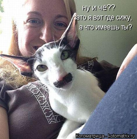 ну и чё?? а что имеешь ты? зато я вот где сижу,... Котоматрица: ну и чё?? а что имеешь ты? зато я вот где сижу,