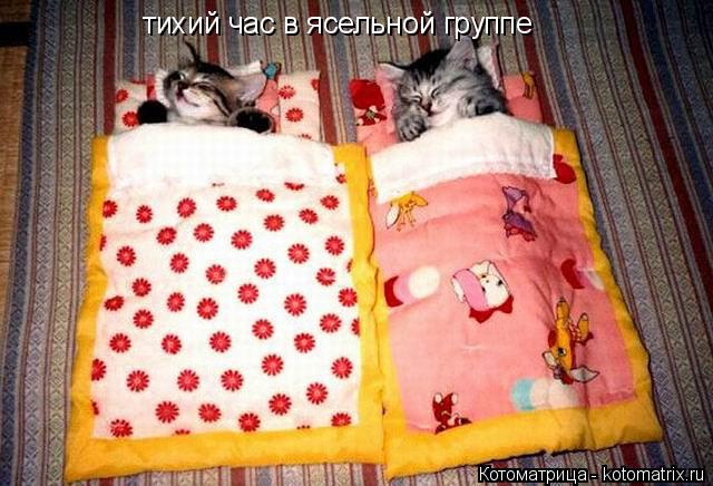 тихий час в ясельной группе... Котоматрица: тихий час в ясельной группе