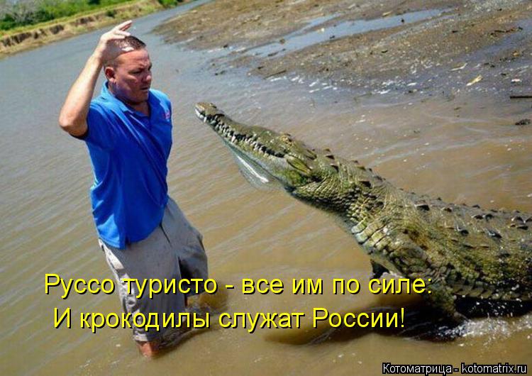 Руссо туристо - все им по силе: И крокодилы служат России!... Котоматрица: Руссо туристо - все им по силе: И крокодилы служат России!