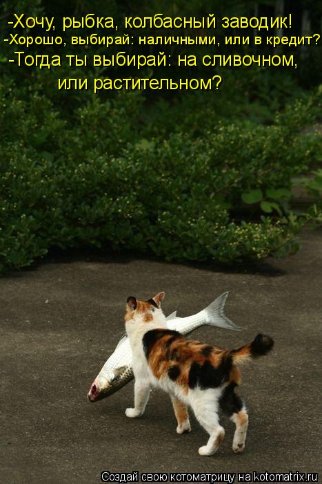 -Хочу, рыбка, колбасный заводик! -Хорошо, выбирай: наличными, или в кредит? -Тогда ты выбирай: на сли... Котоматрица: -Хочу, рыбка, колбасный заводик! -Хорошо, выбирай: наличными, или в кредит? -Тогда ты выбирай: на сливочном, или растительном?