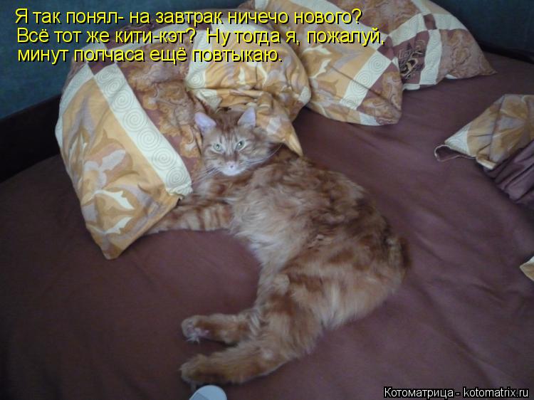 Я так понял- на завтрак ничечо нового? Всё тот же кити-кэт? Ну тогда я, пожалуй, минут полчаса ещё п... Котоматрица: Я так понял- на завтрак ничечо нового? Всё тот же кити-кэт? Ну тогда я, пожалуй, минут полчаса ещё повтыкаю.