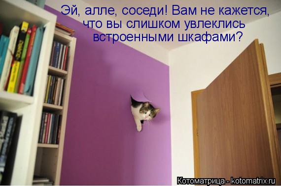 Эй, алле, соседи! Вам не кажется, что вы слишком увлеклись встроенными шкафами?... Котоматрица: Эй, алле, соседи! Вам не кажется, что вы слишком увлеклись встроенными шкафами?