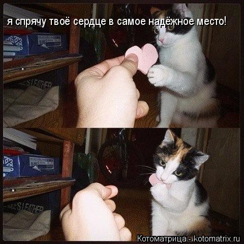 я спрячу твоё сердце в самое надёжное место!... Котоматрица: я спрячу твоё сердце в самое надёжное место!