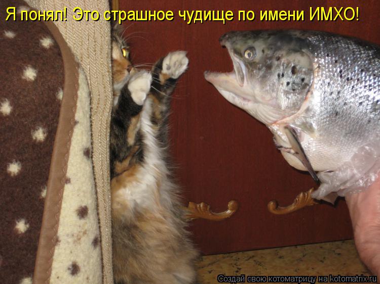 Я понял! Это страшное чудище по имени ИМХО!... Котоматрица: Я понял! Это страшное чудище по имени ИМХО!