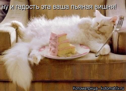 ну и гадость эта ваша пьяная вишня!... Котоматрица: ну и гадость эта ваша пьяная вишня!