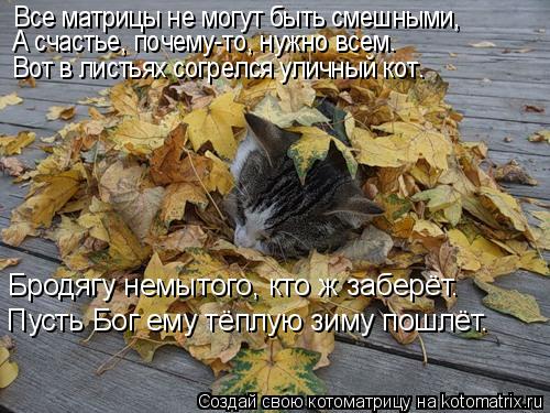 Все матрицы не могут быть смешными, А счастье, почему-то, нужно всем. Вот в листьях согрелся уличный ... Котоматрица: Все матрицы не могут быть смешными, А счастье, почему-то, нужно всем. Вот в листьях согрелся уличный кот. Бродягу немытого, кто ж заберёт. Пус