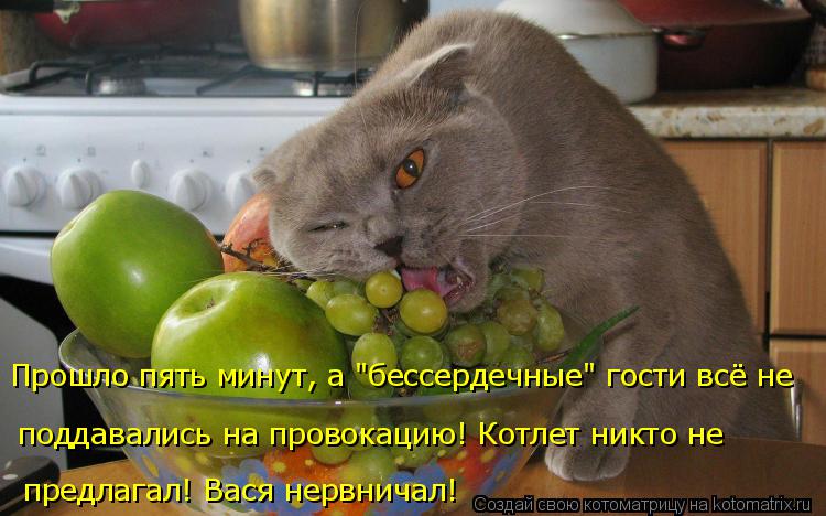 поддавались на провокацию! Котлет никто не предлагал! Вася нервничал! Прошло пять минут, а "бессерде... Котоматрица: поддавались на провокацию! Котлет никто не предлагал! Вася нервничал! Прошло пять минут, а "бессердечные" гости всё не