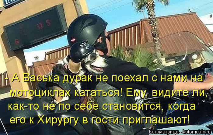 - А Васька дурак не поехал с нами на мотоциклах кататься! Ему, видите ли, как-то не по себе становитс... Котоматрица: - А Васька дурак не поехал с нами на мотоциклах кататься! Ему, видите ли, как-то не по себе становится, когда его к Хирургу в гости приглашают!