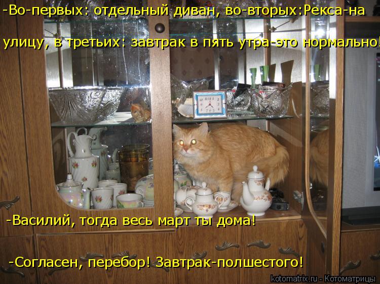 -Во-первых: отдельный диван, во-вторых:Рекса-на улицу, в третьих: завтрак в пять утра-это нормально!... Котоматрица: -Во-первых: отдельный диван, во-вторых:Рекса-на улицу, в третьих: завтрак в пять утра-это нормально! -Василий, тогда весь март ты дома! -Соглас