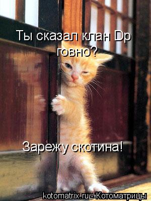 Ты сказал клан Dp говно? Зарежу скотина!... Котоматрица: Ты сказал клан Dp говно? Зарежу скотина!