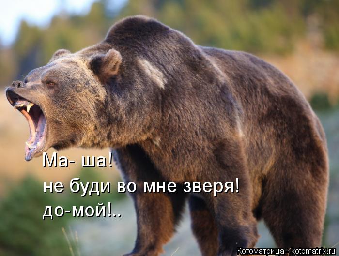Ма- ша! не буди во мне зверя! до-мой!..... Котоматрица: Ма- ша! не буди во мне зверя! до-мой!..