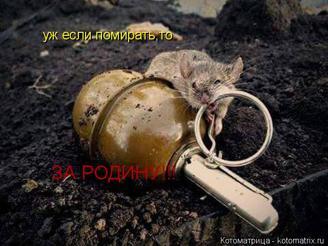уж если помирать,то ЗА РОДИНУ!!!... Котоматрица: уж если помирать,то ЗА РОДИНУ!!!