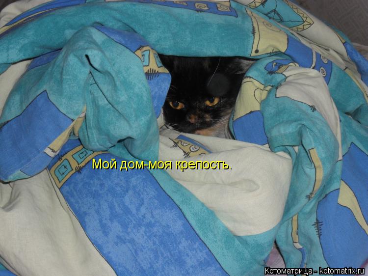 Мой дом-моя крепость.... Котоматрица: Мой дом-моя крепость.