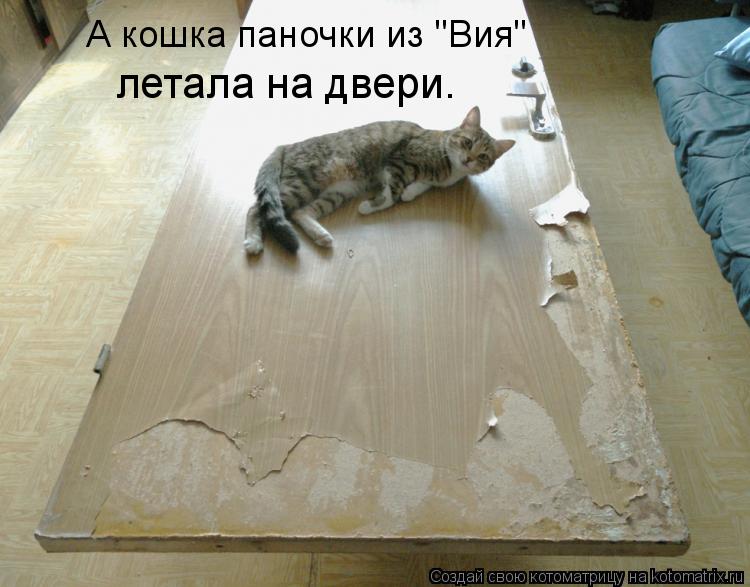 А кошка паночки из "Вия" летала на двери.... Котоматрица: А кошка паночки из "Вия" летала на двери.