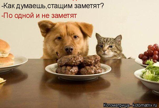 -Как думаешь,стащим заметят? -По одной и не заметят -По одной и не заметят... Котоматрица: -Как думаешь,стащим заметят? -По одной и не заметят -По одной и не заметят