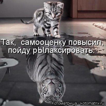 Так, самооценку повысил, пойду рЫлаксировать.... Котоматрица: Так, самооценку повысил, пойду рЫлаксировать.