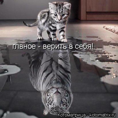 глвное - верить в себя!... Котоматрица: глвное - верить в себя!