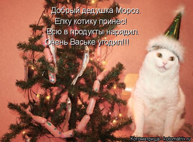 Добрый дедушка Мороз. Всю в продукты нарядил. Елку котику принес! Очень Ваське угодил!!!... Котоматрица: Добрый дедушка Мороз. Всю в продукты нарядил. Елку котику принес! Очень Ваське угодил!!!