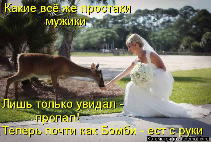 Какие всё же простаки мужики Лишь только увидал - пропал! Теперь почти как Бэмби - ест с руки... Котоматрица: Какие всё же простаки мужики Лишь только увидал - пропал! Теперь почти как Бэмби - ест с руки
