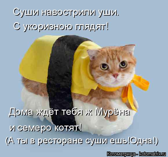 Суши навострили уши. С укоризною глядят! и семеро котят! Дома ждёт тебя ж Мурёна (А ты в ресторане су... Котоматрица: Суши навострили уши. С укоризною глядят! и семеро котят! Дома ждёт тебя ж Мурёна (А ты в ресторане суши ешь!Одна!)