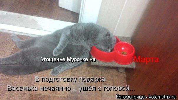 В подготовку подарка Васенька нечаянно... ушёл с головой... Угощенье Мурочке на Марта... Котоматрица: В подготовку подарка Васенька нечаянно... ушёл с головой... Угощенье Мурочке на Марта