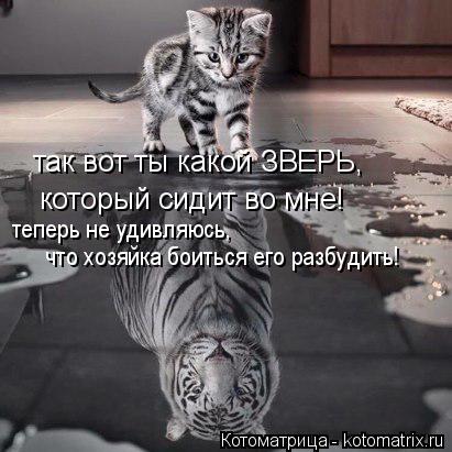 так вот ты какой ЗВЕРЬ, который сидит во мне! теперь не удивляюсь, что хозяйка боиться его разбудить!... Котоматрица: так вот ты какой ЗВЕРЬ, который сидит во мне! теперь не удивляюсь, что хозяйка боиться его разбудить!