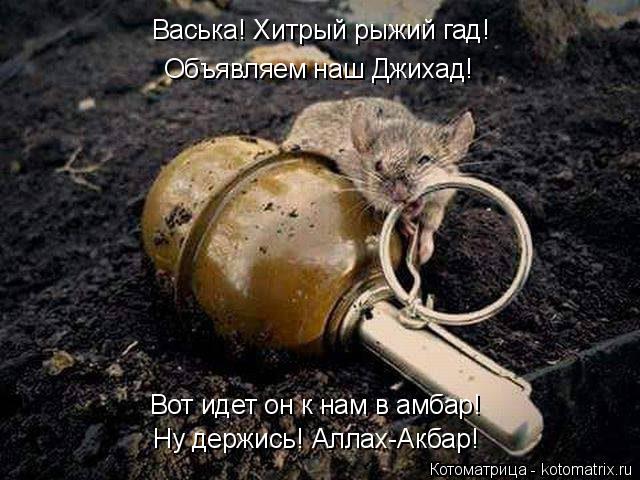 Ну держись! Аллах-Акбар! Васька! Хитрый рыжий гад! Объявляем наш Джихад! Вот идет он к нам в амбар!... Котоматрица: Ну держись! Аллах-Акбар! Васька! Хитрый рыжий гад! Объявляем наш Джихад! Вот идет он к нам в амбар!