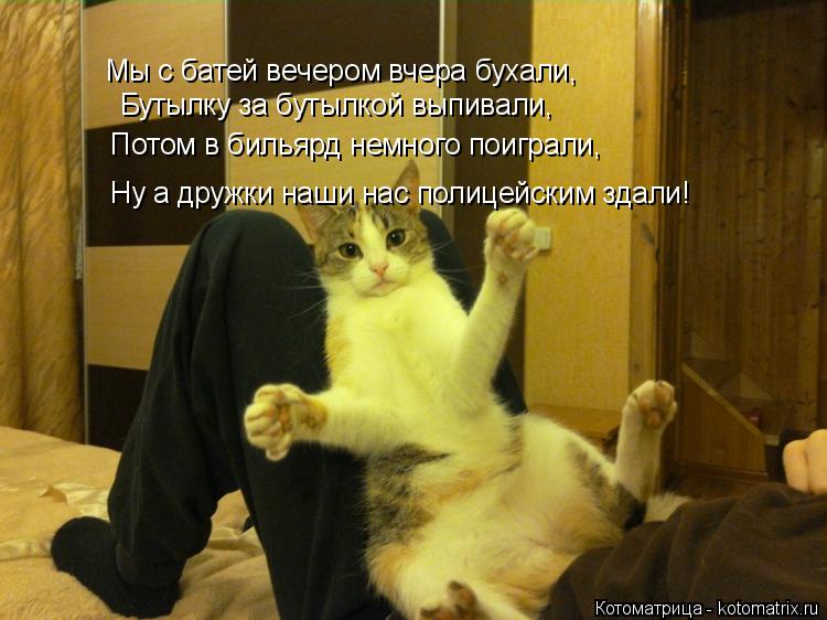 Мы с батей вечером вчера бухали, Бутылку за бутылкой выпивали, Потом в бильярд немного поиграли, Ну а... Котоматрица: Мы с батей вечером вчера бухали, Бутылку за бутылкой выпивали, Потом в бильярд немного поиграли, Ну а дружки наши нас полицейским здали!