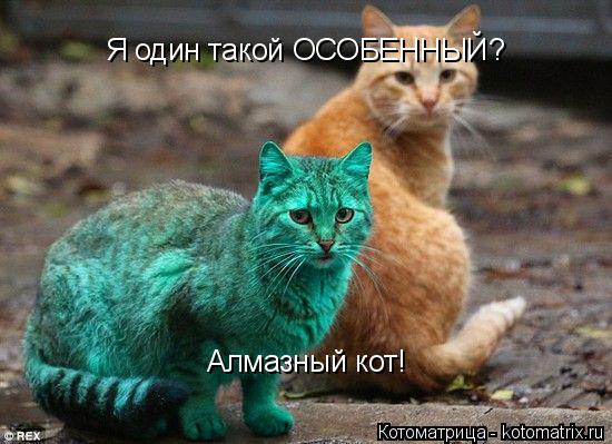 Я один такой ОСОБЕННЫЙ? Алмазный кот!... Котоматрица: Я один такой ОСОБЕННЫЙ? Алмазный кот!