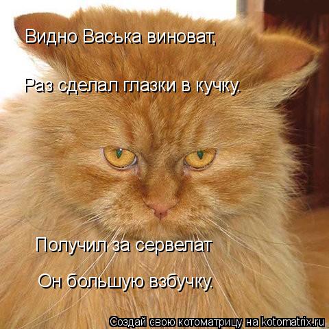 Видно Васька виноват, Раз сделал глазки в кучку. Получил за сервелат Он большую взбучку.... Котоматрица: Видно Васька виноват, Раз сделал глазки в кучку. Получил за сервелат Он большую взбучку.
