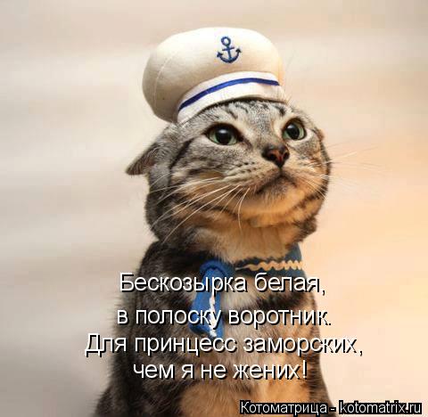Бескозырка белая, в полоску воротник. чем я не жених! Для принцесс заморских,... Котоматрица: Бескозырка белая, в полоску воротник. чем я не жених! Для принцесс заморских,