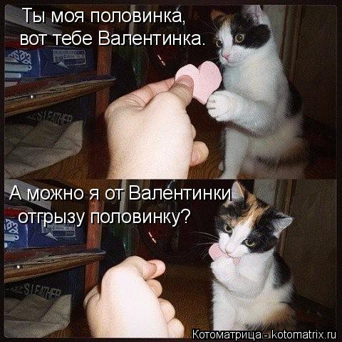Ты моя половинка, вот тебе Валентинка. А можно я от Валентинки отгрызу половинку?... Котоматрица: Ты моя половинка, вот тебе Валентинка. А можно я от Валентинки отгрызу половинку?